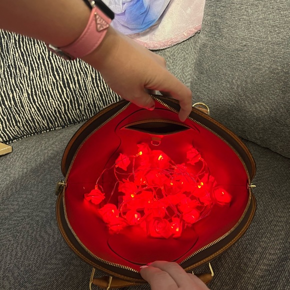 Louis Vuitton Brown and Tan Monogram Bag, Ellipse MM - Picture 11 of 11